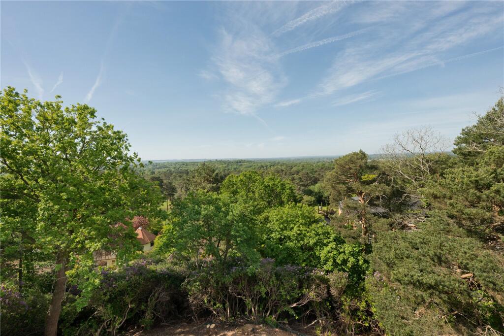 Ravenscroft Road, St George's Hill, Weybridge, Surrey, KT13 photo 5