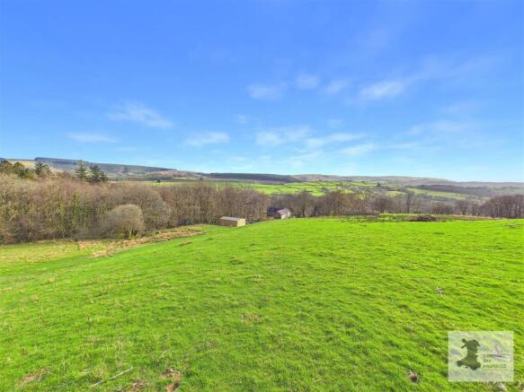 Field and views