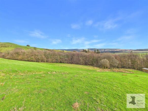 Field and views