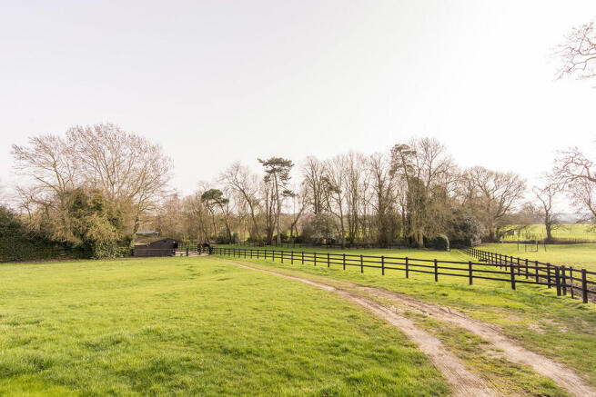 Fields