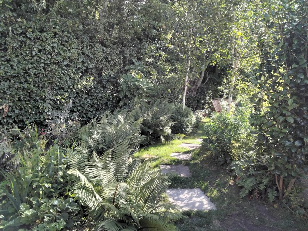 Additional image 25 of Inverurie Street, Auchenblae, AB30