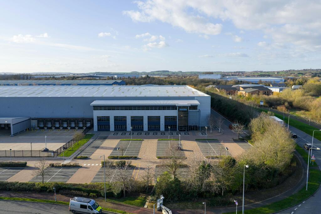 Big Swan_Image_08.jpg