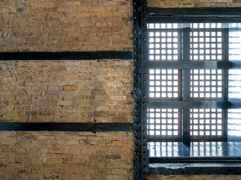 2025-04-17-0095_highres.jpg