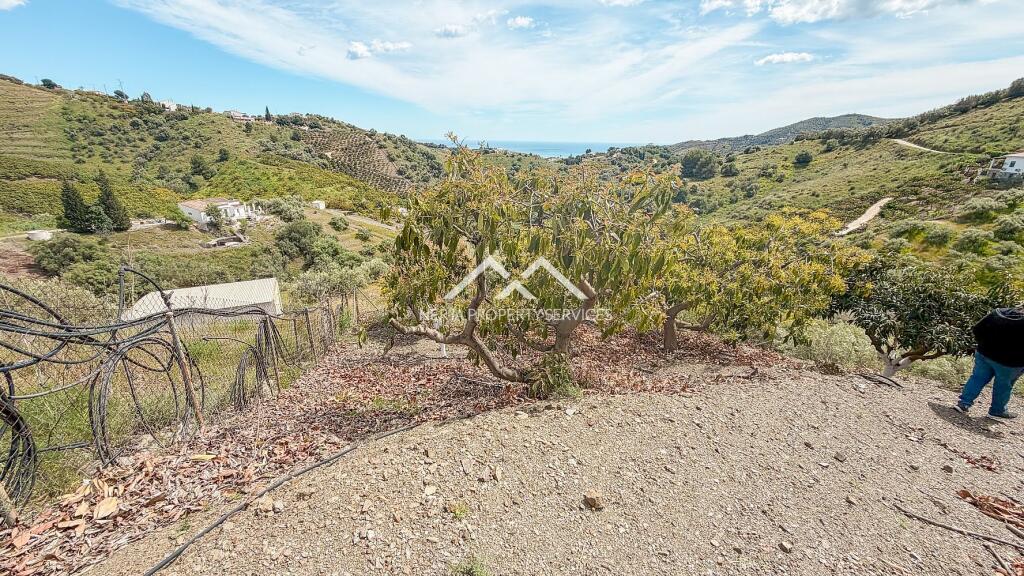 Main image of property: Andalucia, Malaga, Frigiliana
