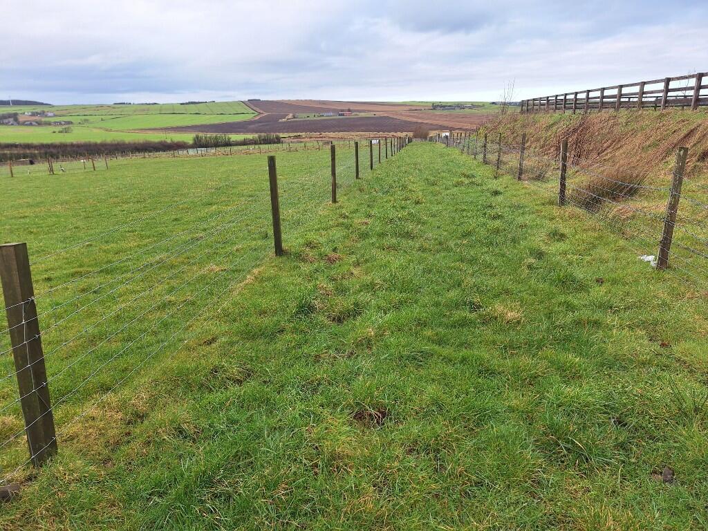 Additional image 28 of Wester Pettymarcus, Clola, Mintlaw, AB42 5AF 