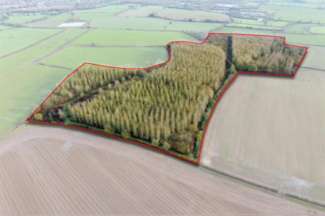 Woodland to the South of Main St Swepstone