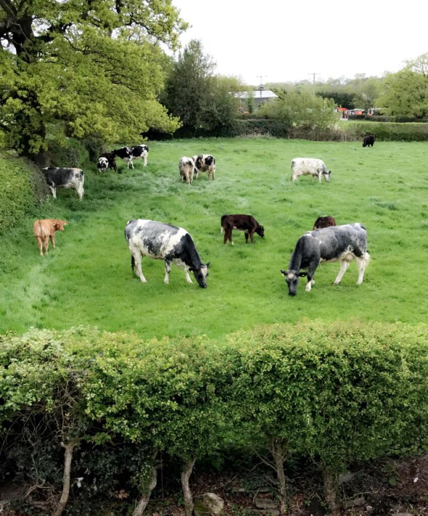 Additional image 32 of Slade Lane, Sutton Four Oaks, Sutton Coldfield, B75