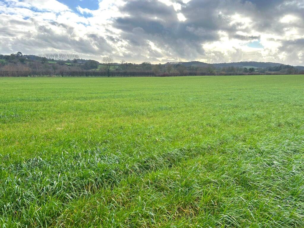 Main image of property: Land Off Brimzemoor Lane, Merriott, Chard, Somerset, TA16