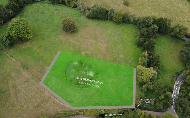 Bramley Beaverbrook (1)