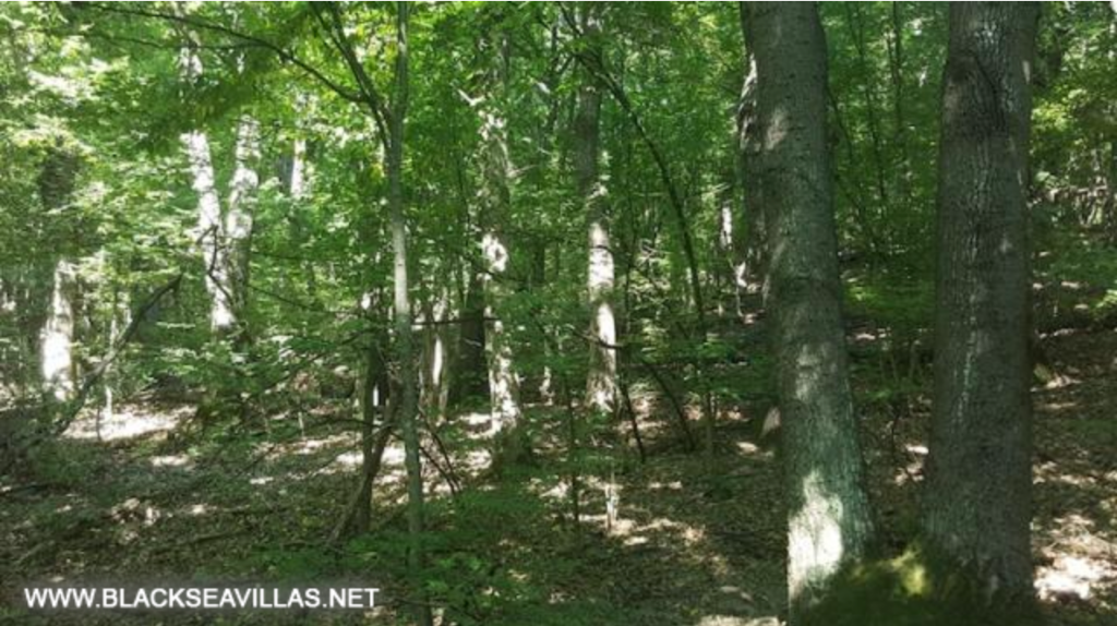 Main image of property: Kilifarevo, Veliko Tarnovo