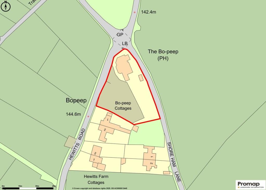 ProMap Red Line Bo Peep - approved.jpg