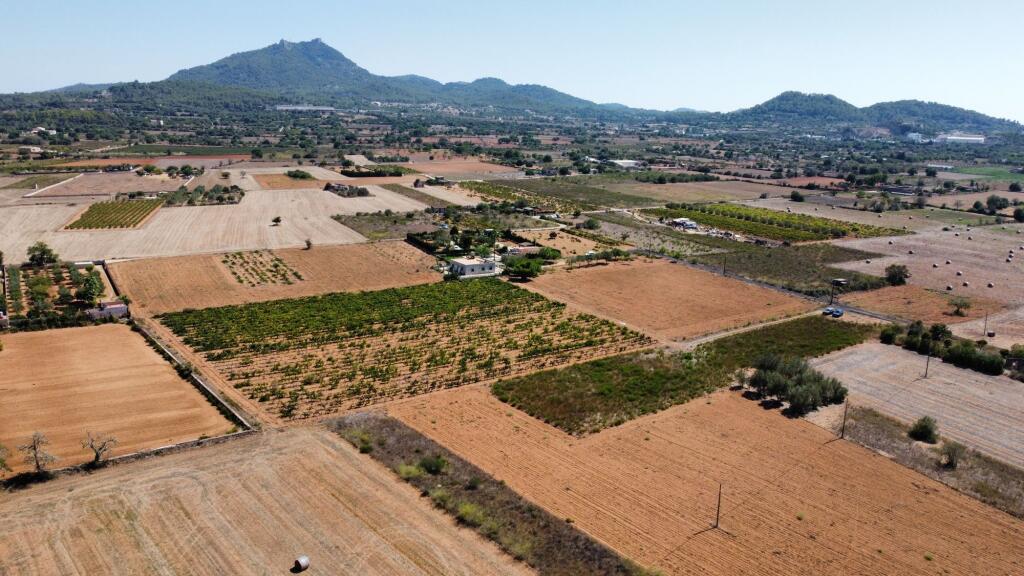 Main image of property: Balearic Islands, Mallorca, Felanitx