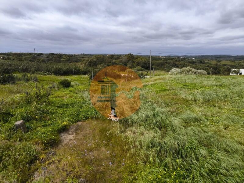 Main image of property: Algarve, Azinhal