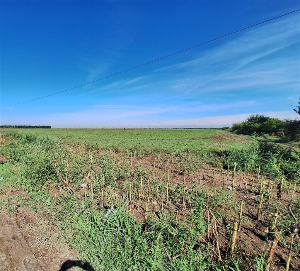 Main image of property: Braila, Braila