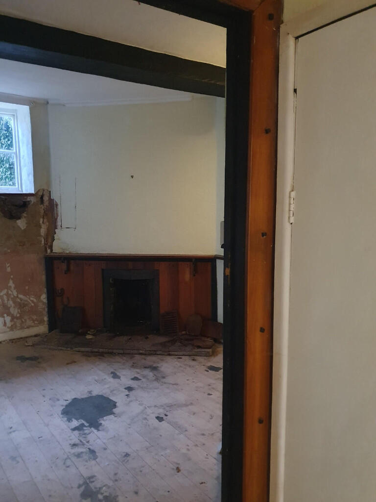 back room fireplace
