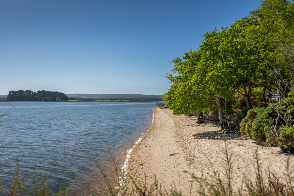 Shipstal Point, Arne, Wareham, Dorset, BH20 photo 5