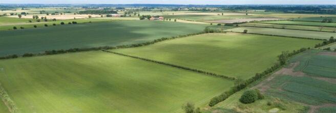 DJI_0125 Edit.jpg