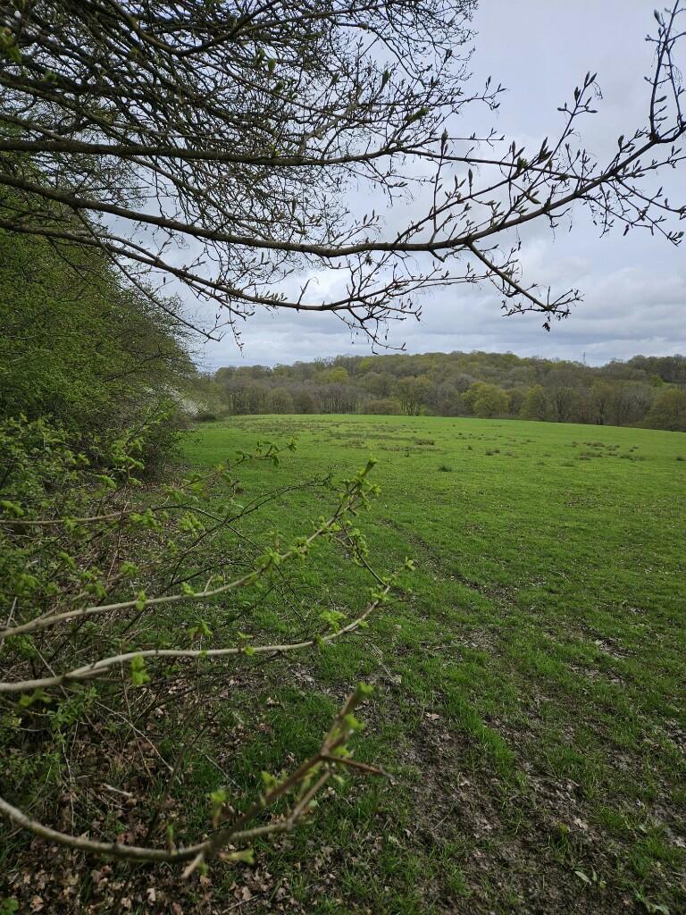 Powder Mill Lane, Tunbridge Wells, Kent, TN4 - View 4