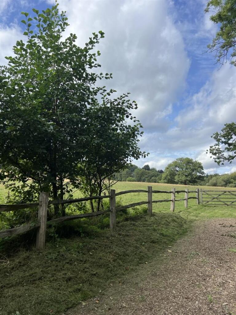 Hascombe, Surrey - View 4