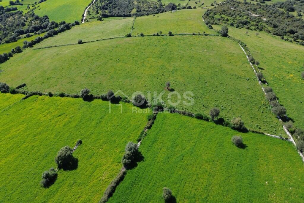 Main image of property: Noto, Syracuse, Sicily