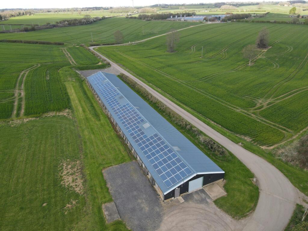 dji_fly_20260402_141734_459_ _photo.JPG
