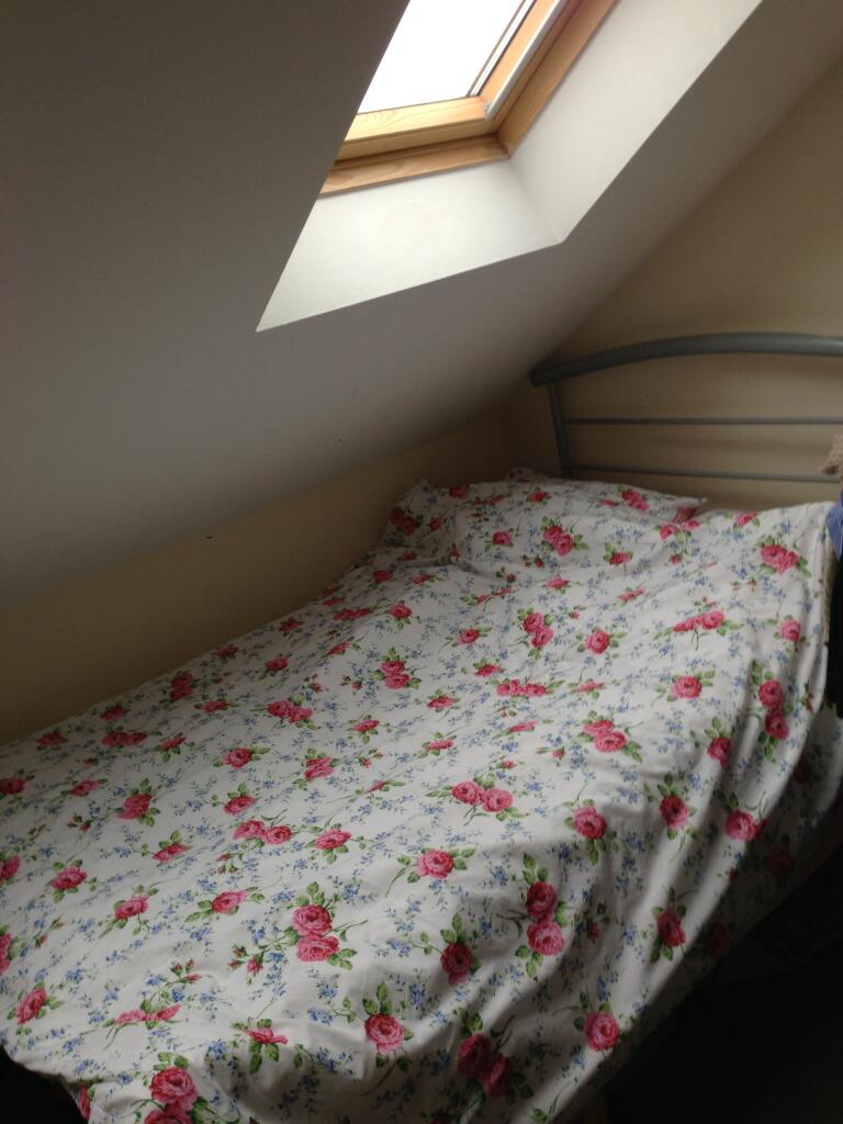 5 bedroom house for rent