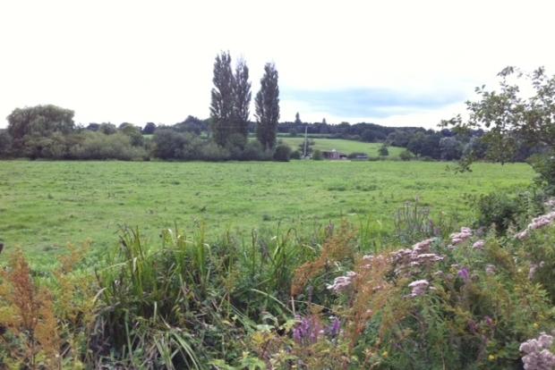 Photo of the property