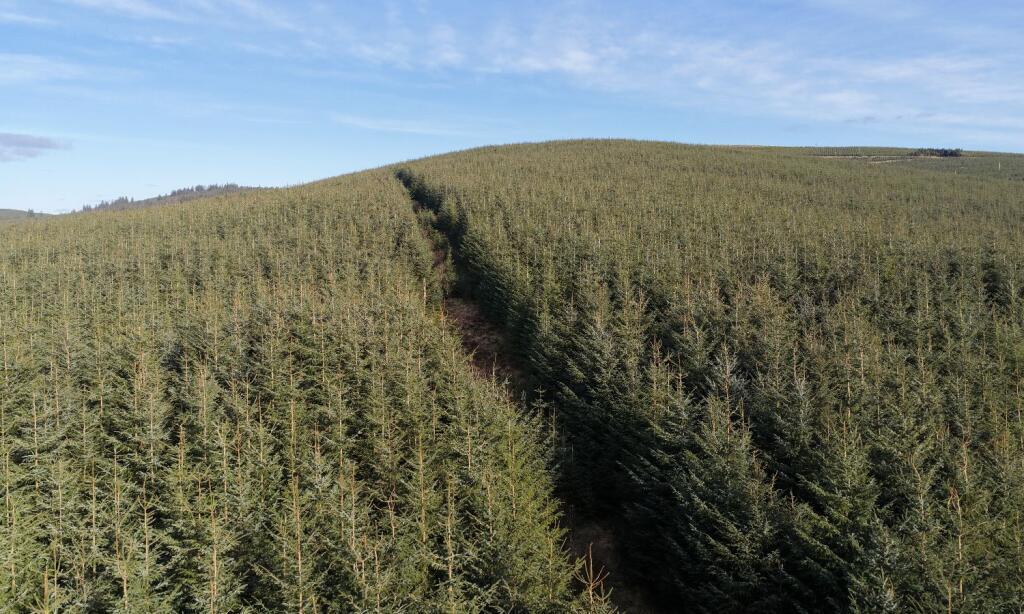 Main image of property: Douglenbrae, Langholm, Dumfries And Galloway