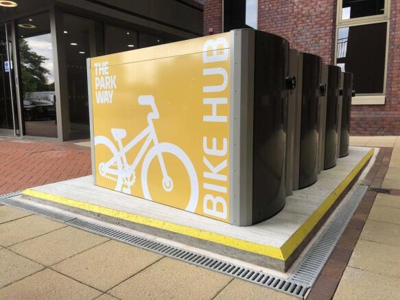 Bike hubs
