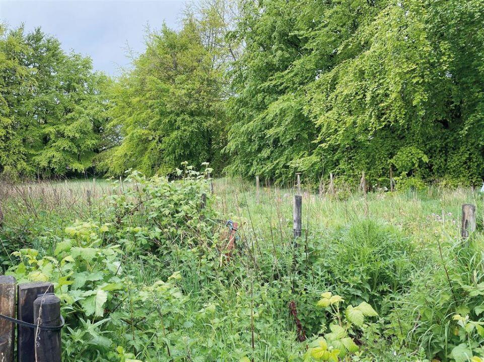 Additional image 4 of Plot D Land at the old nursery, Burton, Mere, Warminster, Wiltshire BA12 6AR