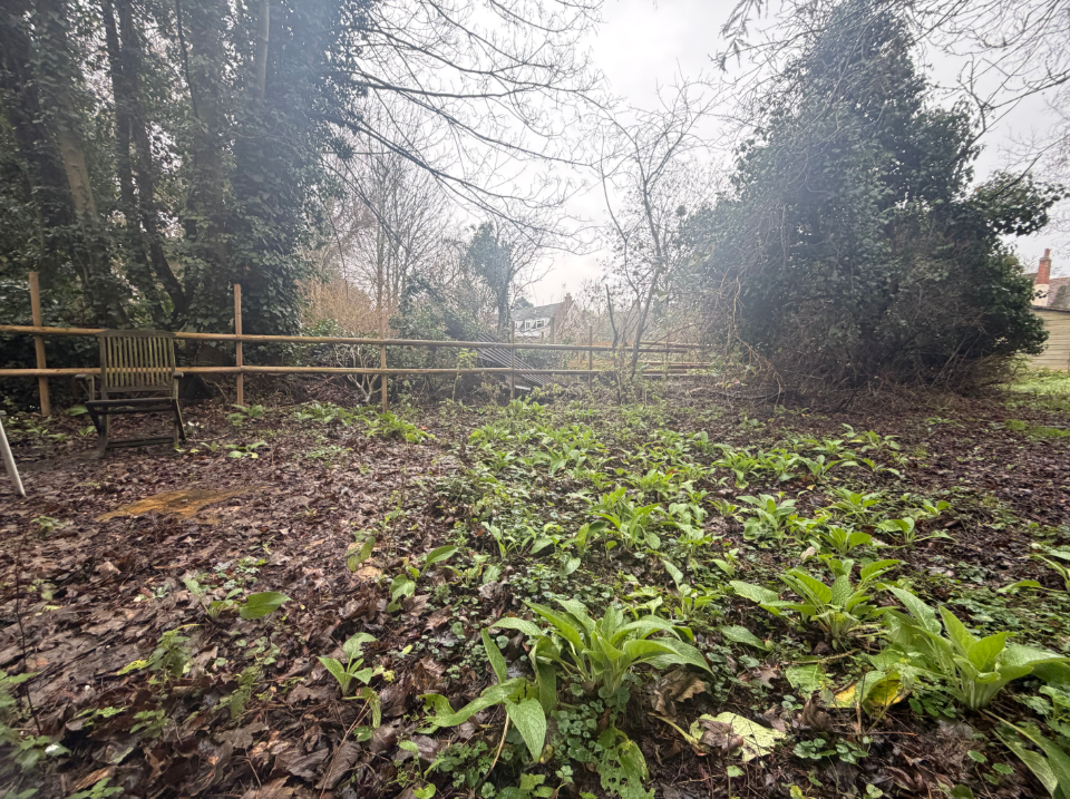 Plot 1, Abbey Street
Ickleton, Saffron Walden, CB10 1SS - View 4