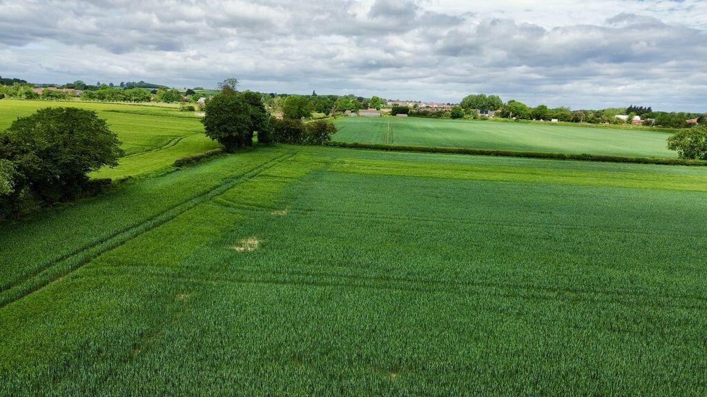 House in York - View 3