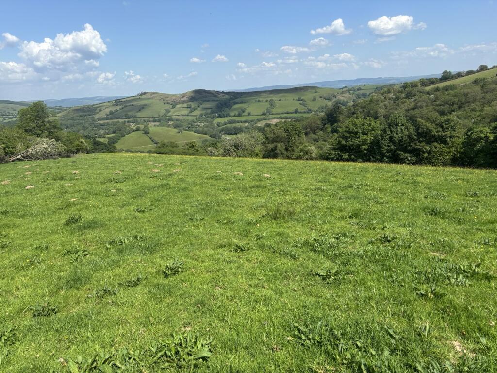 Main image of property: & Pantglas Fields, Llanwrda, Carmarthenshire.