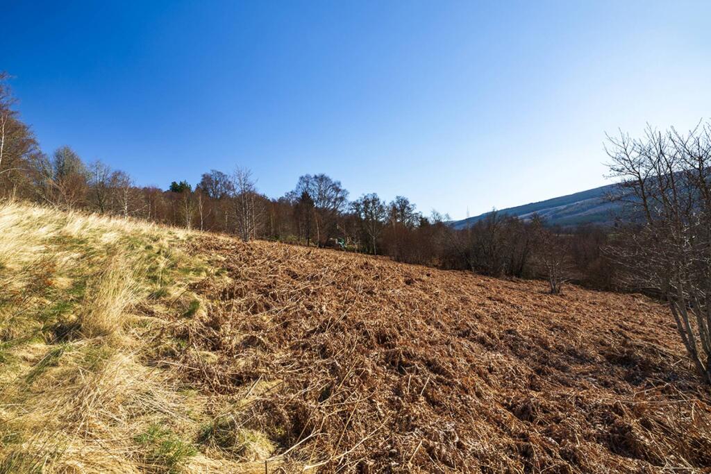 Main image of property: Building Plot 95M West of Eastwood, Balnain, Drumnadrochit, IV63 6TN