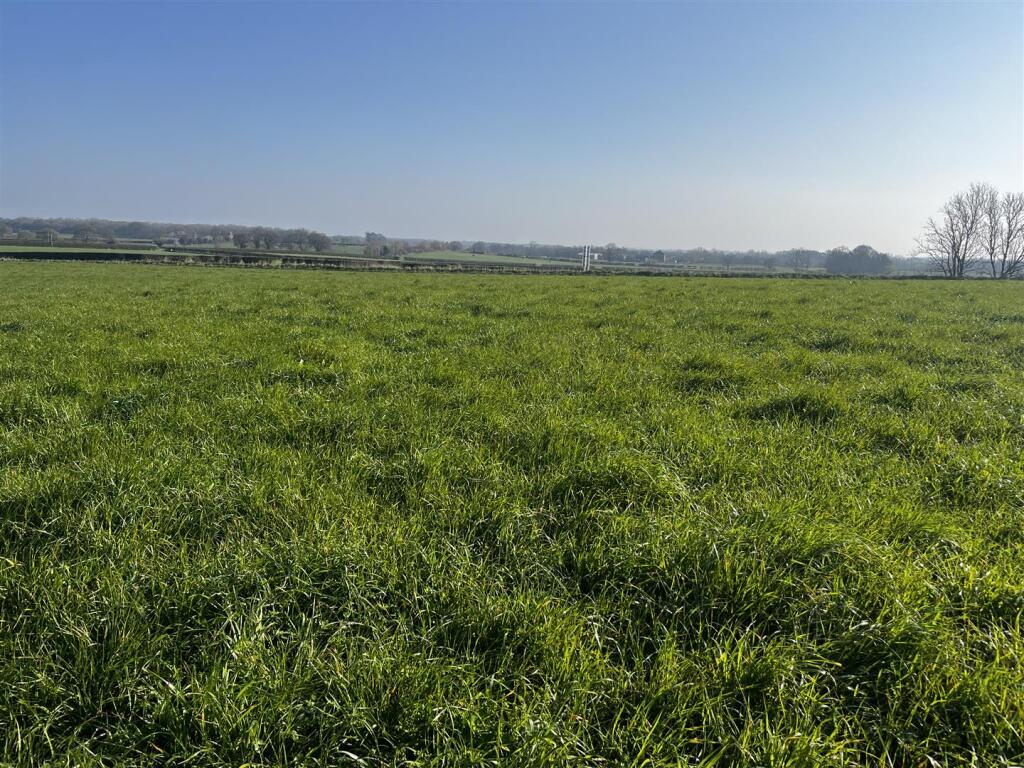4.91 acres of Land at Score Ray Lane, Whixley, York - View 2