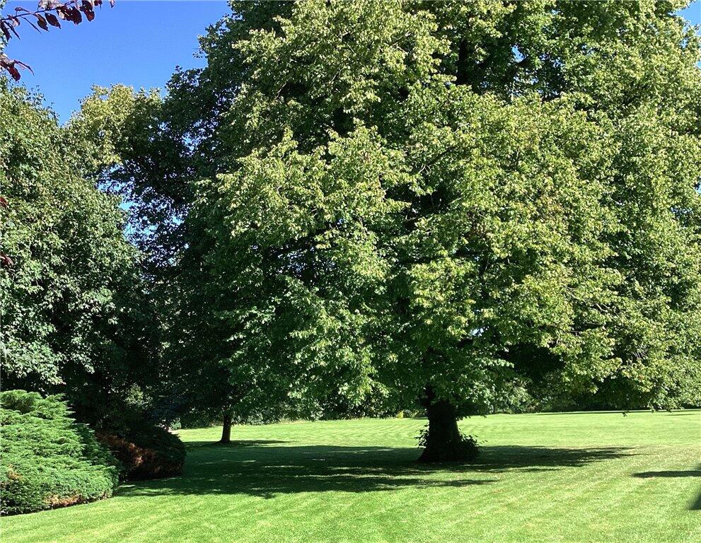 Additional image 21 of West Street, Gargrave, Skipton, BD23