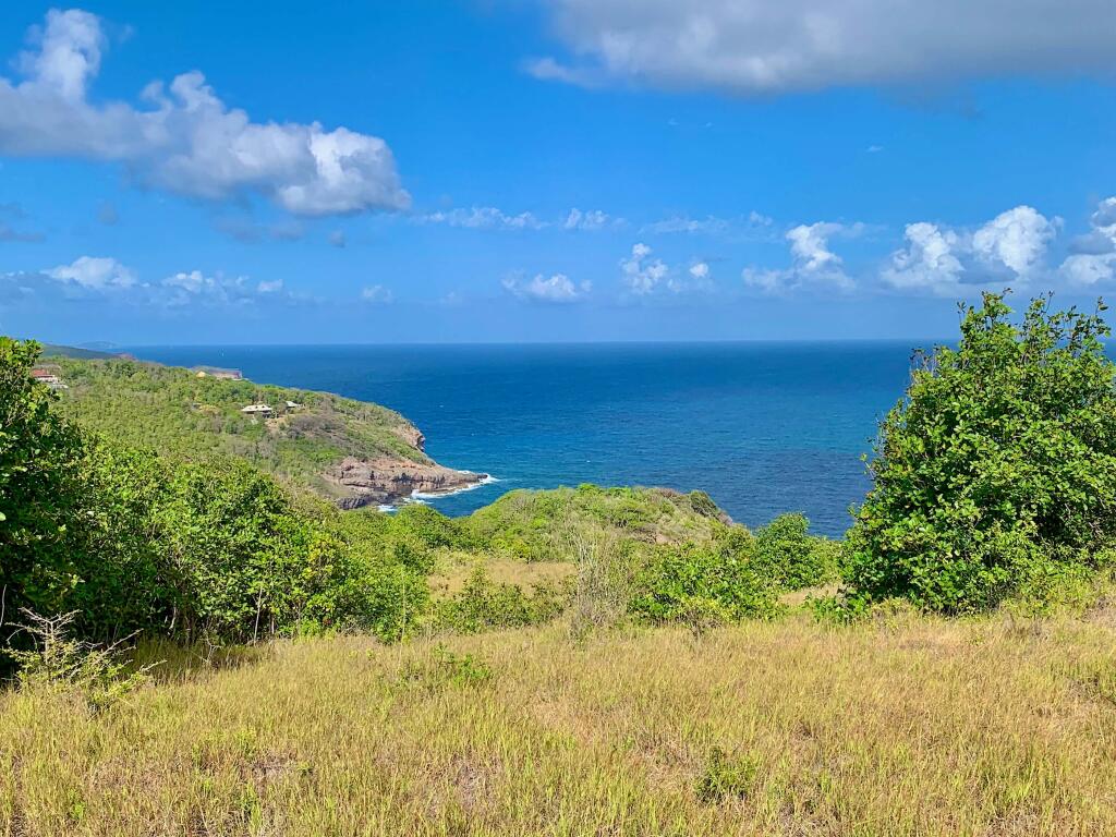 Main image of property: Mount Pleasant Land 7 Acres GR 508, Mount Pleasant