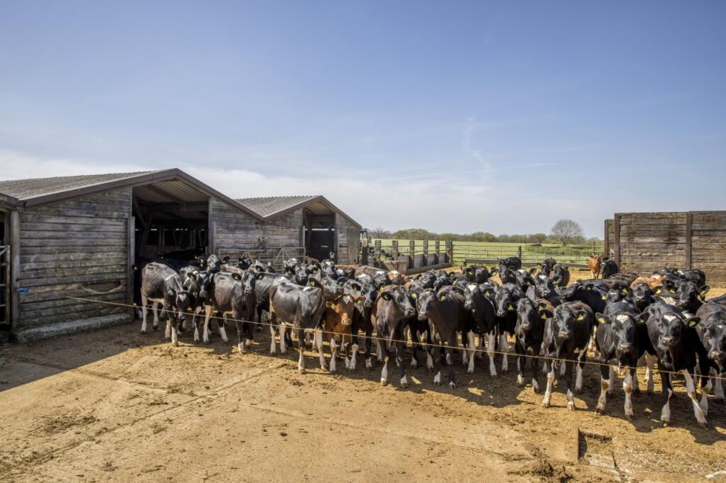 Highlands Farm