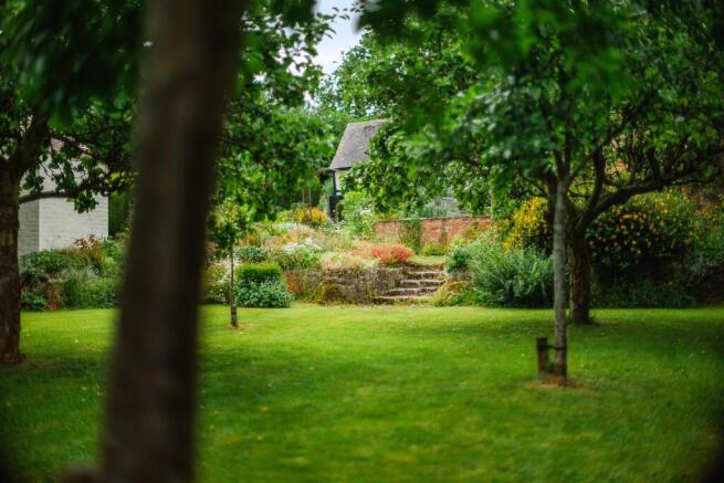 Orchard 32