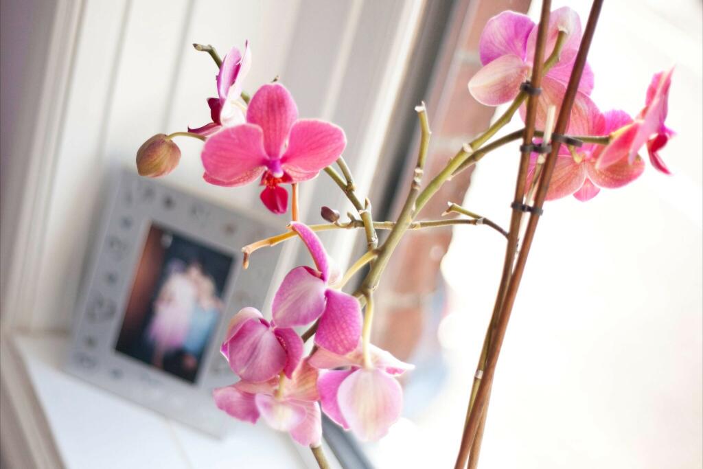 Main image of property: VICTORIA PARK Winton