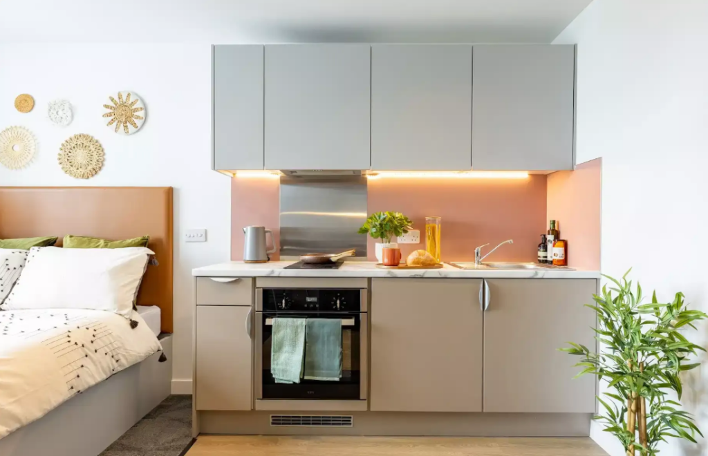 1 bedroom apartment for rent