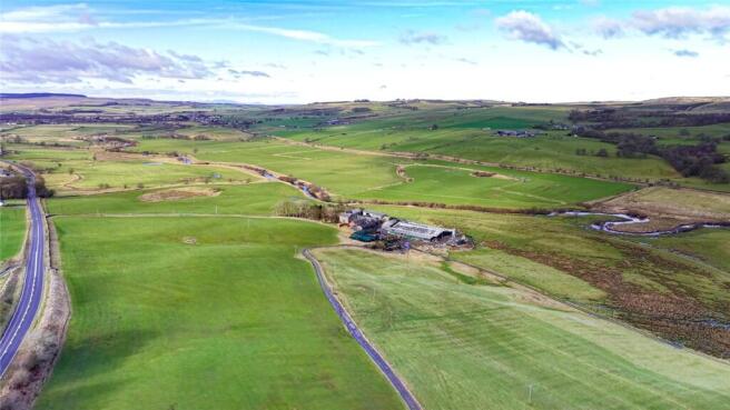 Blackwood Farm