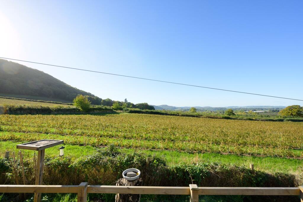 Vine Tree Park, Tudorville, Ross-on-Wye photo 3