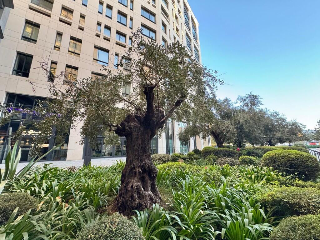 Main image of property: Midtown, Gibraltar
