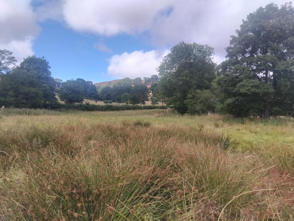 Main image of property: 3.61 ACRES OF PASTURELAND BACK ROAD, LLANARMON YN IAL, CH7 4QD