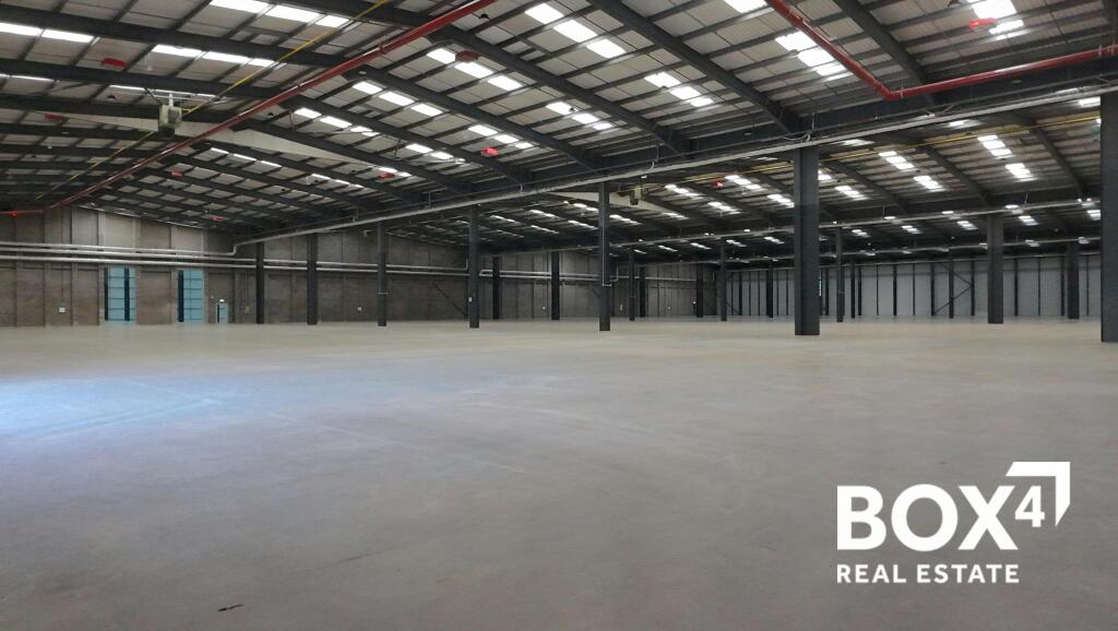 dji_fly_20250708_092336_0100_ _photo.jpg