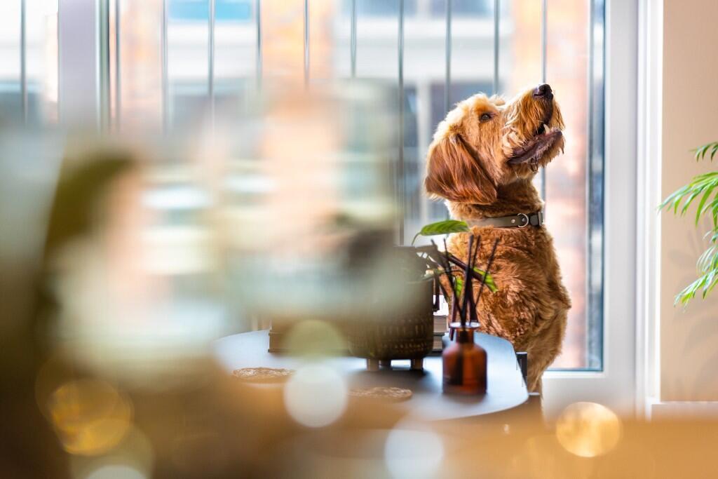 Additional image 8 of Flat 308, Digbeth, Birmingham, B5