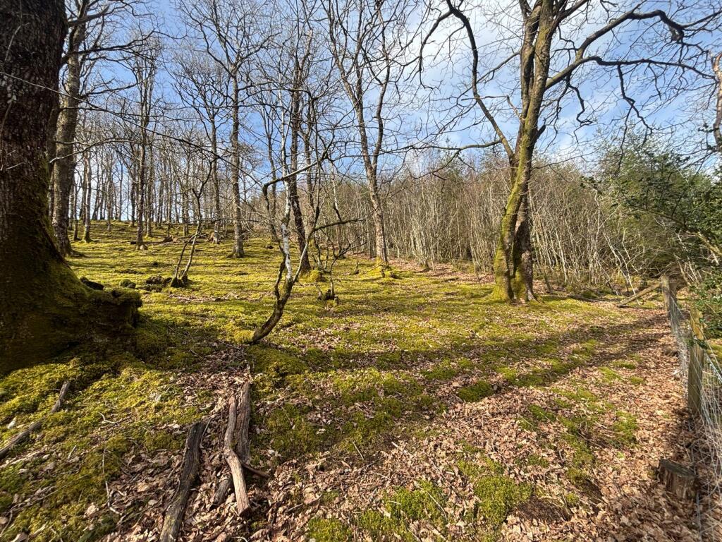 Main image of property: Ffarmers, Llanwrda, SA19