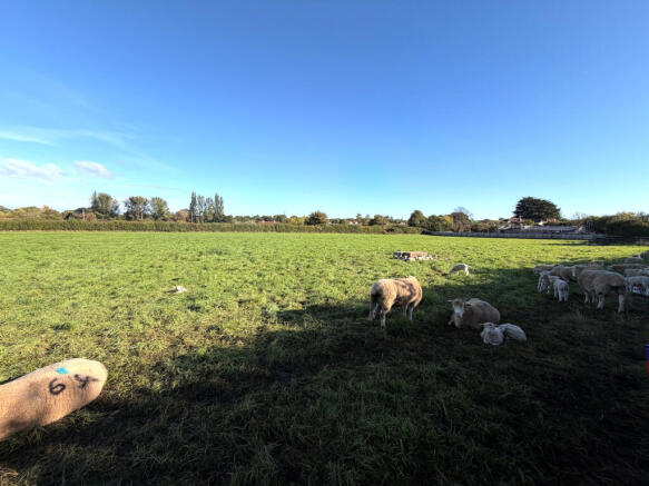 View over part of field