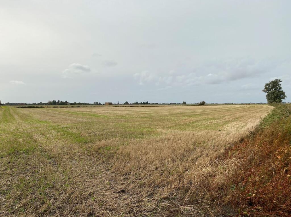3.5 acres of Land off Third Drove, Little Downham, Ely, Cambridgeshire, CB6 1RD - View 2